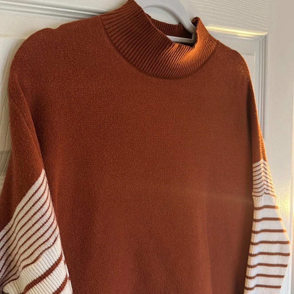 Rust Striped Sweater - Picture 3 of 4
